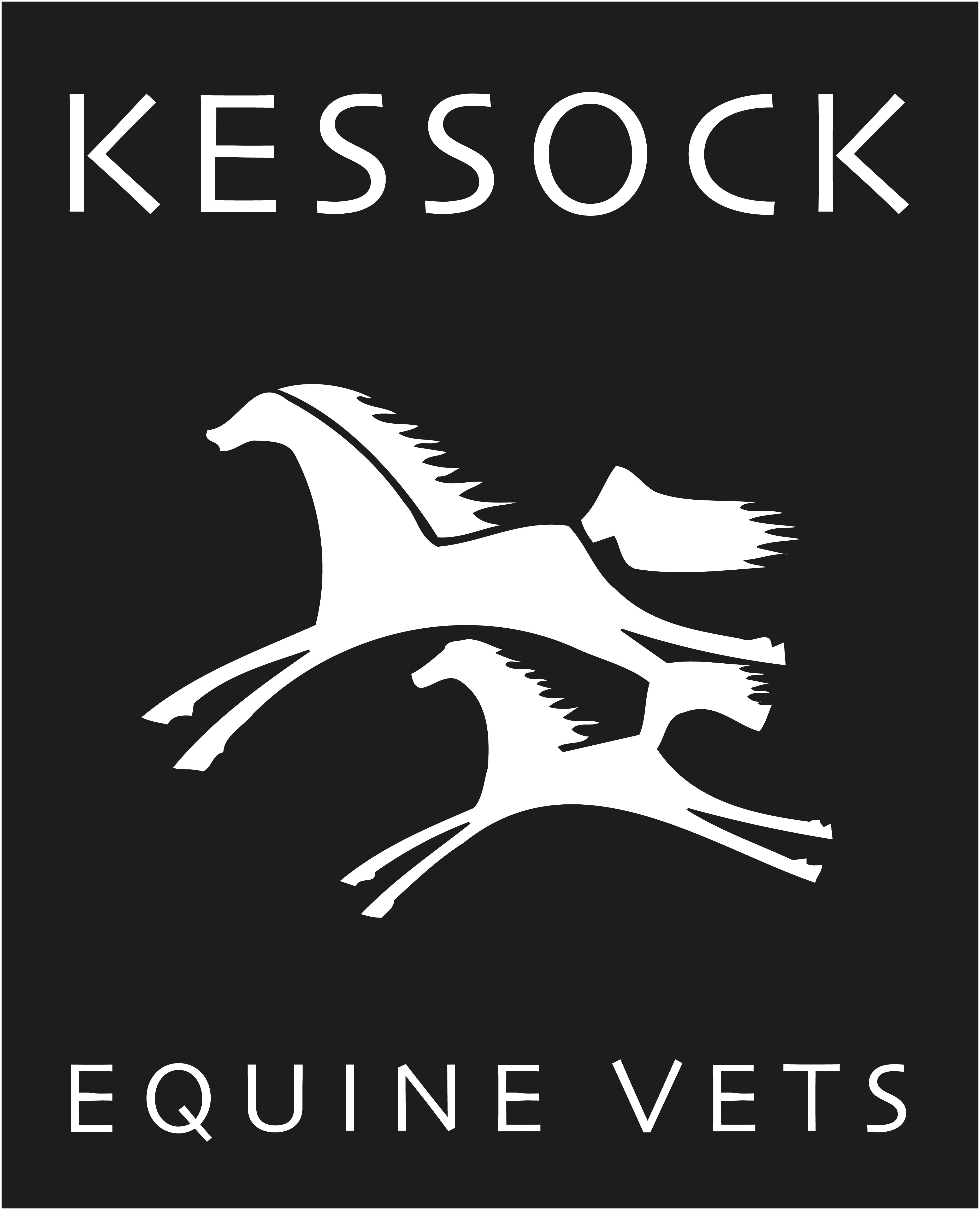 Job Equine Vet. Kessock Equine Vets, Highland Council Jobs