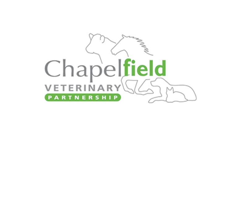 Job Small Animal Vet. Chapelfield Veterinary Partnership , Norfolk