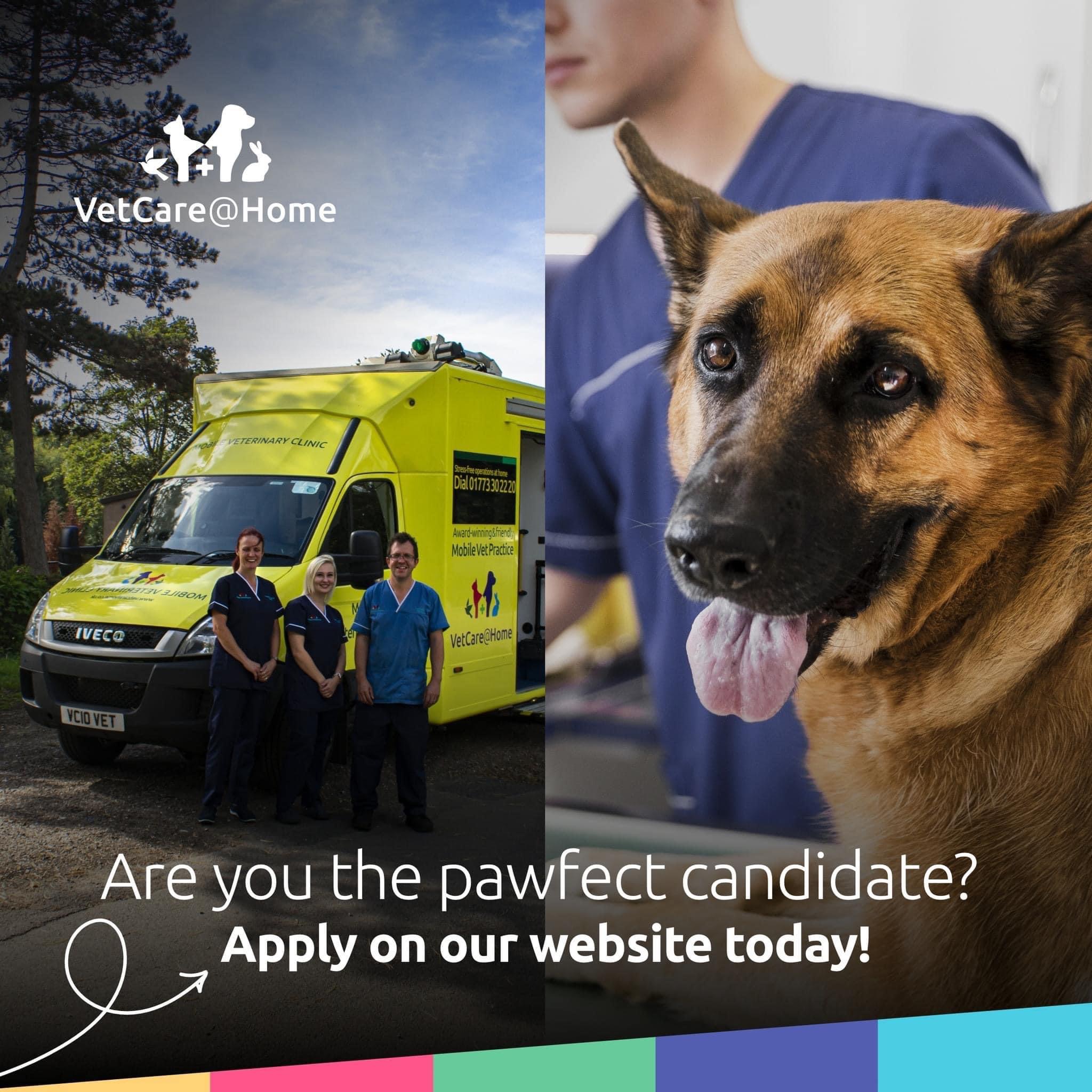 Job Small Animal Vet. VetCareHome, Derbyshire Jobs