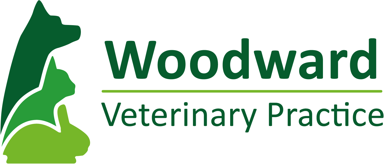 Job Lead Veterinary Surgeon. Woodward Veterinary Practice, Ashbydela