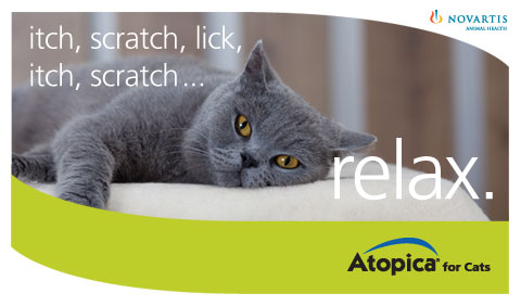Novartis Animal Health new product announcement - VetSurgeon Emails - VetSurgeon Novartis Animal Health new product announcement - VetSurgeon Emails - VetSurgeon