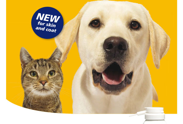 Novartis Animal Health New Product Announcement - VetSurgeon Emails -  VetSurgeon 
