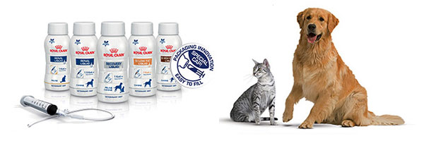 royal canin recovery liquid diet