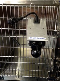 Shor-Line has announced the launch of YesWeCanSee, a webcam system which allows veterinary surgeons to monitor inpatients from anywhere, over the internet.