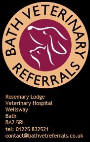 Bath Vet Referrals