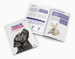 Bayer has published Focus on Pyoderma, a new guide to the treatment of pyoderma in dogs, authored by Ross Bond, RCVS Recognised Specialist in Veterinary Dermatology and head of the dermatology department at the Royal Veterinary College (RVC).