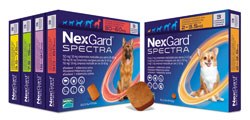 Merial has announced that Nexgard Spectra has now been licensed to prevent lungworm, making it the only product which deals with lungworm and ticks (not to mention fleas and roundworm).