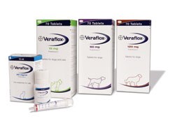 Bayer Animal Health has launched a next generation fluoroquinolone antimicrobial - Veraflox (pradofloxacin) - for the treatment of bacterial infections in cats and dogs