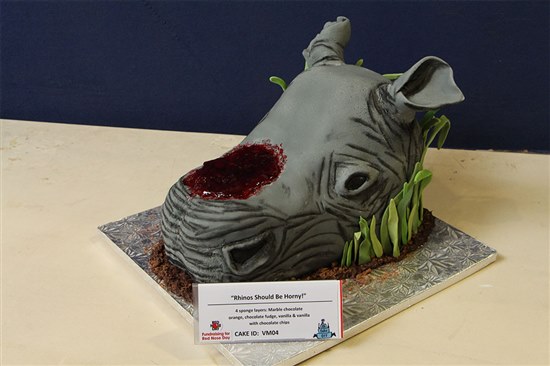 Veterinary students Harry Pink and Meg Coram have won the third Sutton Bonington Science Cake competition for their entry: Rhinos Should Be Horny.