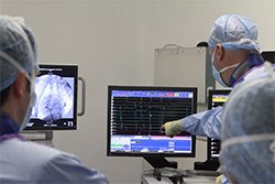 Veterinary cardiologist Pedro Oliveira and his team at Davies Veterinary Specialists (DVS) have teamed up with doctors from St Bartholomew’s Hospital in London to use a cutting edge technique to cure dogs with life-threatening cardiac arrhythmia.