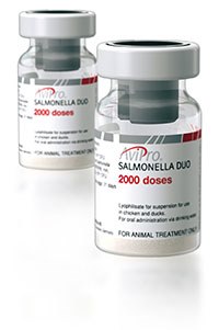 Elanco Animal Health has launched AviPro Salmonella Duo, a new live vaccine which provides simultaneous protection against S Enteritidis and S Typhimurium in poultry