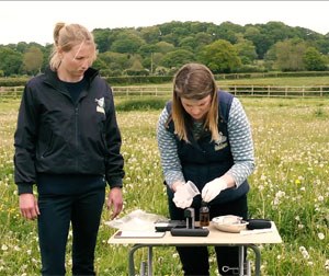 An equine practice in the New Forest is reporting great success using the ioLight portable microscope to diagnose intestinal parasites in horses at the stable yard.