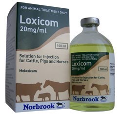 Norbrook is expanding its NSAID range with the launch of Loxicom Injection for cattle, pigs and horses.