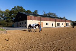 B&W Equine Group has opened a brand new, state-of-the-art equine clinic at Breadstone in Gloucestershire. 