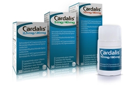 Ceva Animal Health has announced the launch of Cardalis for the treatment of heart failure caused by degenerative valvular heart disease in dogs.