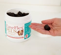 Alstoe has launched Easeflex Plus Chews, a development of the original Easeflex Chews joint nutrient supplement for dogs.
