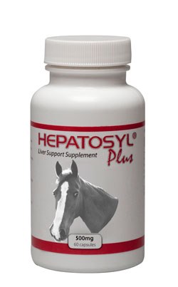 Hepatosyl for horses