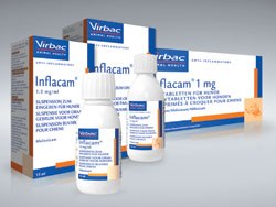 Virbac has launched Inflacam, a meloxicam-based NSAID for the alleviation of pain in both acute and chronic musculo-skeletal disorders in dogs and horses.