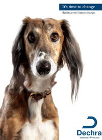 Dechra Veterinary Products has launched a campaign supporting veterinary professionals in the diagnosis and treatment of otitis externa at BSAVA World Congress.