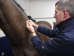 Zoetis, maker of Zylexis, is highlighting a new review published in Veterinary Immunology and Immunopathology, which has concluded that immune-modulators may provide a valuable contribution to the reduction of some equine respiratory diseases