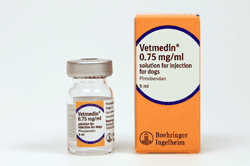 Boehringer Ingelheim Vetmedica has launched Vetmedin 0.75 mg/ml Solution for Injection for dogs.