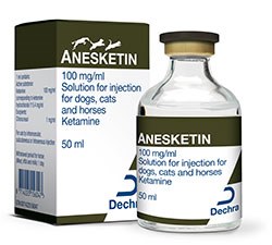 Dechra Veterinary Products has launched a new 50 ml bottle of its rapid acting dissociative anaesthetic licensed for cats, dogs and horses, Anesketin.