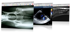 IRIS from AT Veterinary Systems
