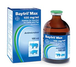 Bayer Animal Health has launched Baytril® Max 100mg/ml Solution for Injection for Cattle and Pigs, which replaces the company's previously animal-specific Baytril Max products.