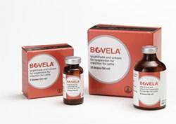 Boehringer Ingelheim Vetmedica has announced that it will be launching Bovela, a new viral diarrhoea (BVD) vaccine, to farmers during April 2015.