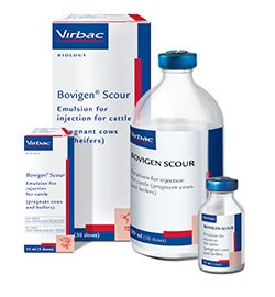Virbac has launched of Bovigen Scour, an emulsion for injection into cattle which reduces the severity of diarrhoea caused by bovine rotavirus, bovine coronavirus and enteropathogenic E.coli F5 (K99). 