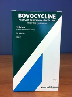 Eurovet Animal Health has launched a new product, Bovocycline 2000 mg pessary for cattle