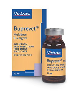 buprenorphine for cats dose
