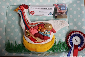 The Sutton Bonington Campus, home of the University of Nottingham's School of Veterinary Medicine and Science, has raised £610 for Sport Relief with its annual Science Cake Competition.