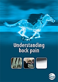 Ceva Animal Health has produced a leaflet to help horse owners understand the cause, diagnosis and management of equine back pain.
