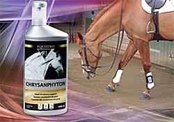 Vetoquinol  has announced the launch of Chrysanphyton, the latest addition to its range of Equistro feeding stuffs for horses.