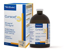 Virbac has launched Curacef Duo, a unique combination of antibiotic and NSAID offering an alternative approach to the treatment of bovine respiratory disease (BRD) caused by Mannhaemia haemolytica and Pasteurella multocida. 