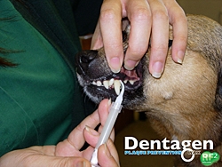 Dentagen