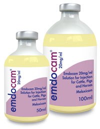 Animalcare has launched Emdocam (meloxicam 20mg/ml), a non-steroidal anti-inflammatory drug (NSAID) of the oxicam class for use in cattle, pigs and horses.