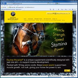 Boehringer Ingelheim Vetmedica has launched a series of information sheets written by veterinary surgeons, nutritionists and leading riders to support its muscle building supplement for horses, Equitop Myoplast Power Pearls.