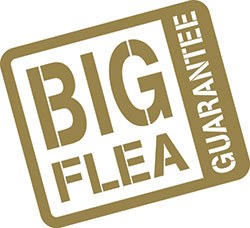 MSD Animal Health has launched the Big Flea Guarantee, a new marketing initiative to support its flea and tick treatment for dogs, Bravecto.  