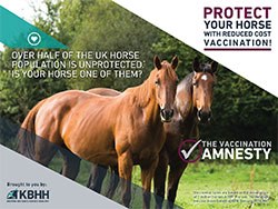 MSD Animal Health has launched a vaccination amnesty pack for practices, designed to help protect over half of the UK horse population not protected against equine influenza.