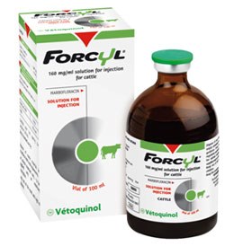 Vetoquinol is launching Forcyl, an injectable anti-infective for the targeted therapeutic treatment of respiratory infections in cattle, in November.