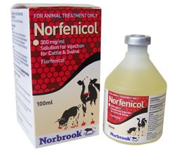 Norbrook Laboratories has launched Norfenicol Solution for Injection (florfenicol), a broad spectrum antibiotic licensed for the treatment of pneumonia in cattle and pigs.