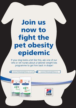 Hill's has launched 'Lose 60 Tonnes in 6 months', a campaign to help clients get their pet to a healthy weight. 