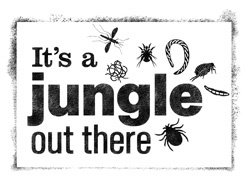 Bayer Animal Health has launched 'It's a Jungle Out There', an educational initiative aimed at simplifying parasite control for veterinary practices and pet owners alike.