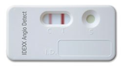 In a world first, IDEXX Laboratories, Inc. has unveiled a breakthrough in the detection of the lungworm, Angiostrongylus vasorum, in dogs. The launch of the diagnostic IDEXX Angio Detect™ Test will, for the first time, allow veterinary surgeons to detect the parasite in-clinic, with almost immediate results. Previously, the veterinary profession have relied on the Baermann method to detect A. vasorum, which can present with varied and confusing clinical symptoms. The Baermann test has had limited utility as it requires faecal samples from the same dog being collected on three successive days, and the results can be compromised by the intermittent shedding of larvae. This leads many experts to believe that A. vasorum is widely under-diagnosed.   The Angio Detect Test is a novel diagnostic approach that works by detecting an A. vasorum specific antigen in the animal’s blood. The test can be used in-clinic using a simple serum or plasma sample and returns results within 15 minutes. Following a positive diagnosis, it is recommended that an approved treatment, such as Bayer’s Advocate®, is administered. In the case of a negative result, dog owners should be reminded of the risk of the disease and the importance of ongoing prevention.  As the test is inexpensive, it can be used for the diagnosis of A. vasorum suspect dogs, and those with non-specific signs, and in endemic areas, it can be considered as an additional pre-surgical measure to avoid complications associated with coagulopathy. Indeed, market research confirmed the utility of this new test revealing that 94 per cent of veterinary surgeons would use the test in dogs presenting A. vasorum signs.  This test comes at a time when concern about A. vasorum is high with a recent survey of 150 veterinary practices across the UK recording a total of 952 suspected cases (157 laboratory confirmed), with 81 deaths thought to have been caused by the parasite.2 Bayer Animal Health’s ‘Be Lungworm Aware’ campaign has helped to raise awareness of this threat, with cases of A. vasorum being regularly reported by practice staff to their Bayer territory managers. The Angio Detect Test will only help to improve this picture, as confirmed cases are logged onto incidence maps so vets can check prevalence in their area.  Ian Wright from the European Scientific Counsel Companion Animal Parasites (ESCCAP) comments: ‘In recent years, there has been spread of the A. vasorum parasite across the UK with cases now being reported as far north as Scotland. It was initially thought this may be due to increased reporting rather than genuine spread, but this pattern in the UK has been mirrored in many other countries and would appear to represent a true emergence of disease. Although the cause of this spread is not known for certain, increasing slug and snail numbers combined with increased pet movement and urbanisation of foxes are all likely to have played a significant part. These factors make A. vasorum a year round rather than seasonal threat.   ‘Any new diagnostic test that can quickly confirm a case of lungworm is a fantastic development and will help save dogs’ lives and give us even greater insight into the extent of the spread of the parasite.’ Graham Bilbrough, veterinary surgeon and European medical affairs manager for IDEXX Laboratories, comments: ‘Up until now, testing methods have been time consuming to the client and costly, so the launch of the Angio Detect Test, together with recognition of clinical signs and early treatment will really help to prevent A. vasorum related fatalities in dogs. We also know that some dogs have subclinical angiostrongylosis, and this new test will help uncover this hidden problem before the surgical blade makes a cut. Difficulties in diagnosis have also meant that the full prevalence of A. vasorum in the UK has been relatively unknown. This test will allow veterinary surgeons to quickly identify the parasite and treat it if found.They shouldn’t forget that other dogs in the household and the area are also at particular risk from the parasite.’ Caroline Braidwood, Group Product Manager from Bayer Animal Health, comments: ‘This test is a real breakthrough in the diagnosis of A. vasorum. We are hearing of more and more cases, some exceptionally sad, and whilst lungworm is a real threat to dogs, clients should also be aware of all the other parasites their pets can be at risk from. Veterinary surgeons can direct their clients to www.itsajungle.co.uk where they can find lots of useful information on lungworm and other parasites.’  The Angio Detect Test is available now in the UK, and will be launched in other European countries later this year. For more information on the test, visit www.idexx.co.uk/angio or speak to your IDEXX sales representative. For further information and free CPD on A. vasorum and other parasites, visit www.jungleforvets.co.uk or speak to your Bayer territory manager. 