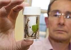 Public Health England has released figures showing that the number of people testing positive for Lyme disease was up over 30% in the period July to September 2015, from 300 lab confirmed cases to 421.