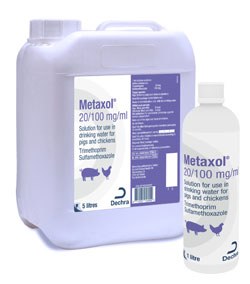 Dechra Veterinary Products has announced the launch of Metaxol, a new POM-V for the mass treatment of respiratory disease in pigs and chickens.