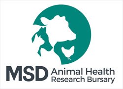 MSD Animal Health has relaunched its Research Bursary Initiative to include awards for both vet students and practitioners. 