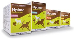 Norbrook Laboratories Ltd has launched Mycinor tablets (clindamycin), an antibiotic for treating soft tissue infections in dogs.